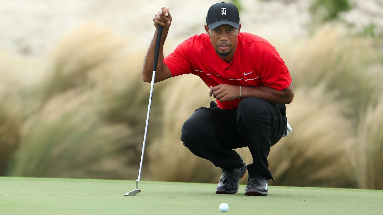 https://cdn.shopify.com/s/files/1/0654/7967/2005/files/tiger-woods-putting-green-focus-professional-practice.jpg?v=1755168850